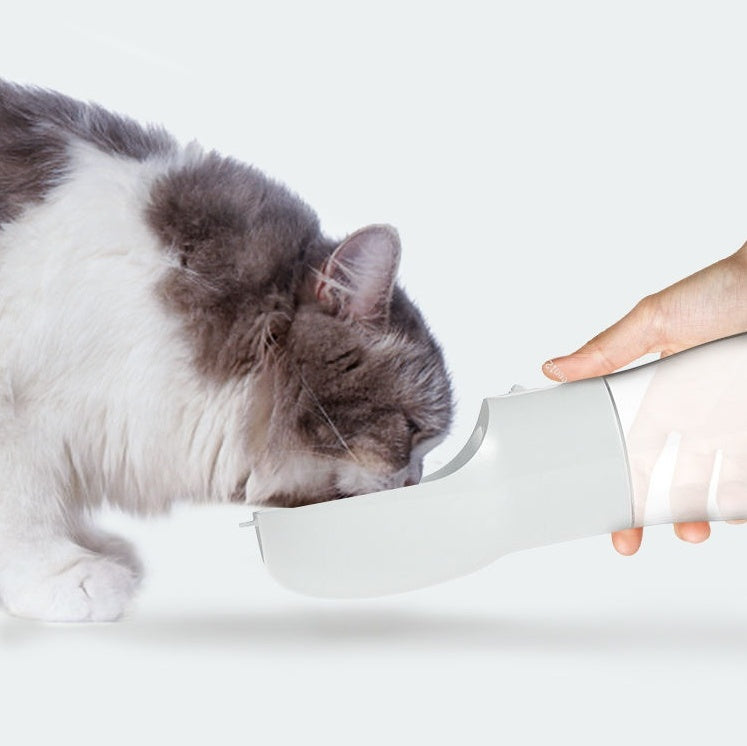 Portable Dog Water Dispenser – Travel Bottle for Walks & Hiking