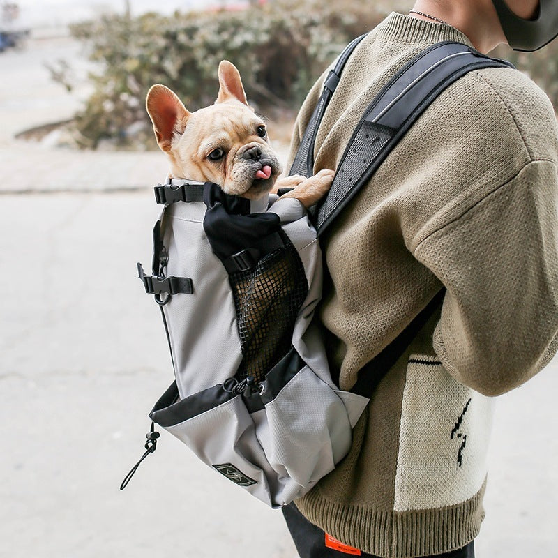 Cozy Dog Travel Backpack for Adventures