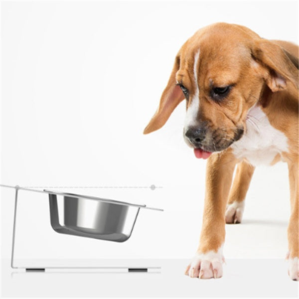 Feeding Water & Bowl - Smart design, happier feeding time for pets.
