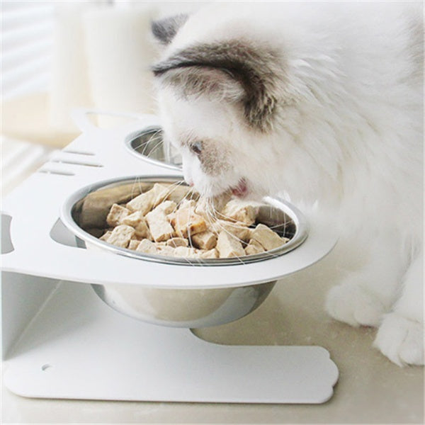 Feeding Water & Bowl - Smart design, happier feeding time for pets.