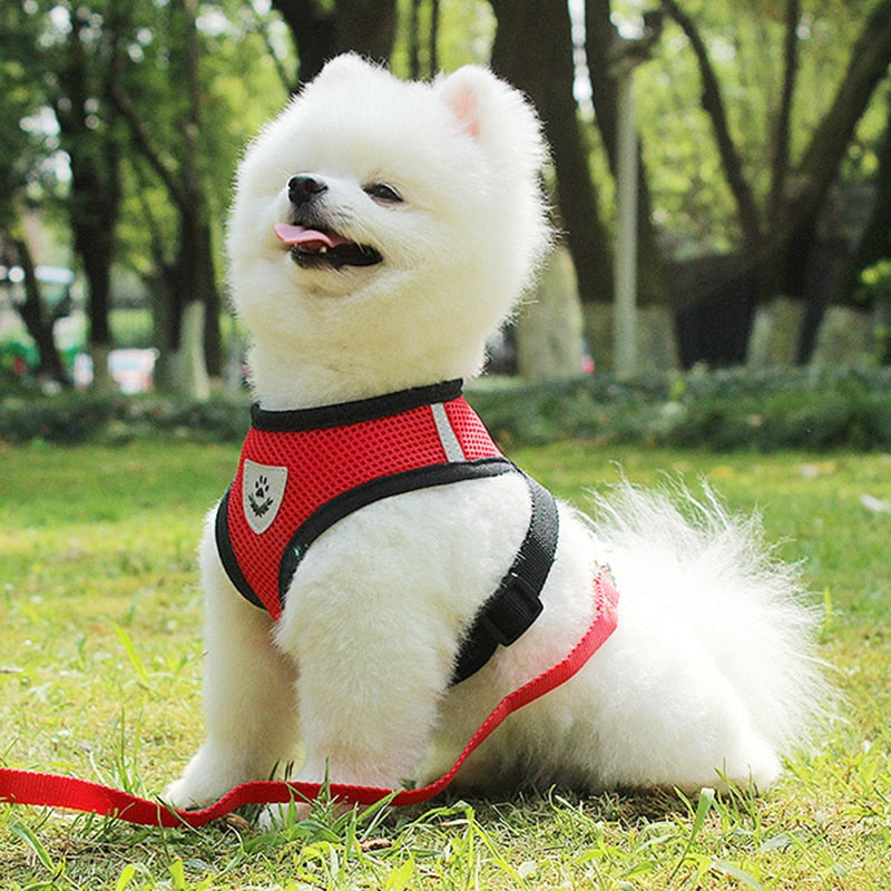 Dog Car Seat Belt Leash – Safety Harness for Pet Travel