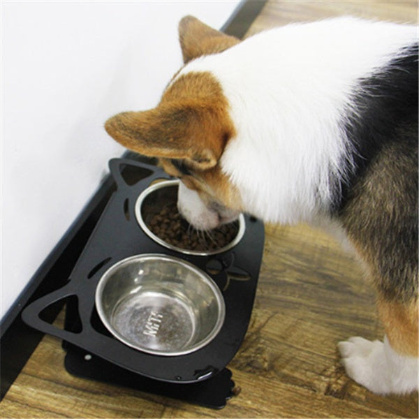 Feeding Water & Bowl - Smart design, happier feeding time for pets.
