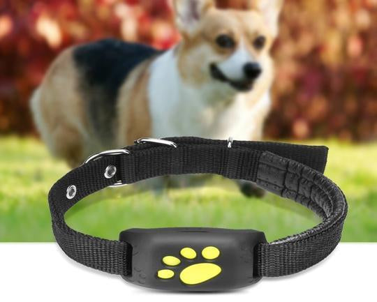 GPS Pet Tracker - Keep tabs on your furry friend 24/7.