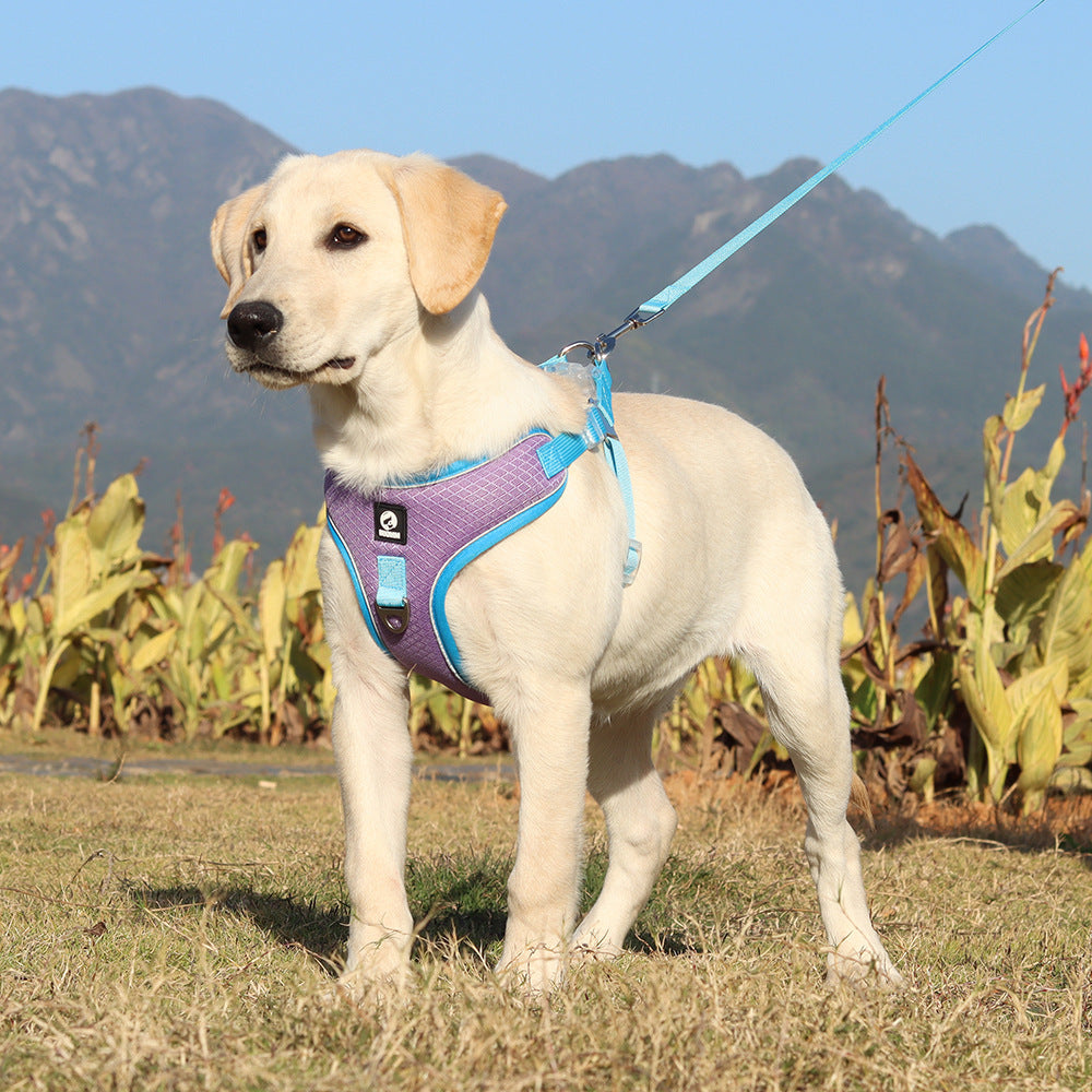 Breathable Adjustable Pet Harness & Leash – Comfortable Fit for Dogs & Cats