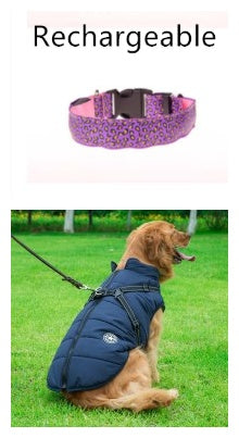 Night Glow Leopard Dog Collar – Adjustable & Cool