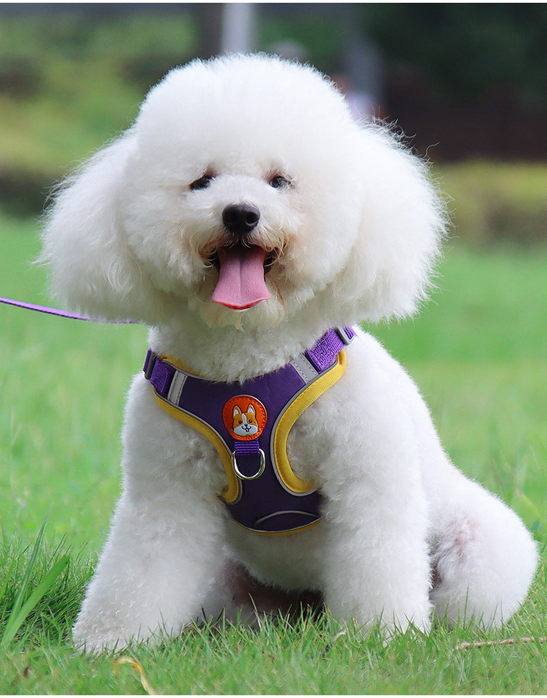 Reflective Dog & Cat Harness with Leash – Soft Mesh Adjustable Chest Strap