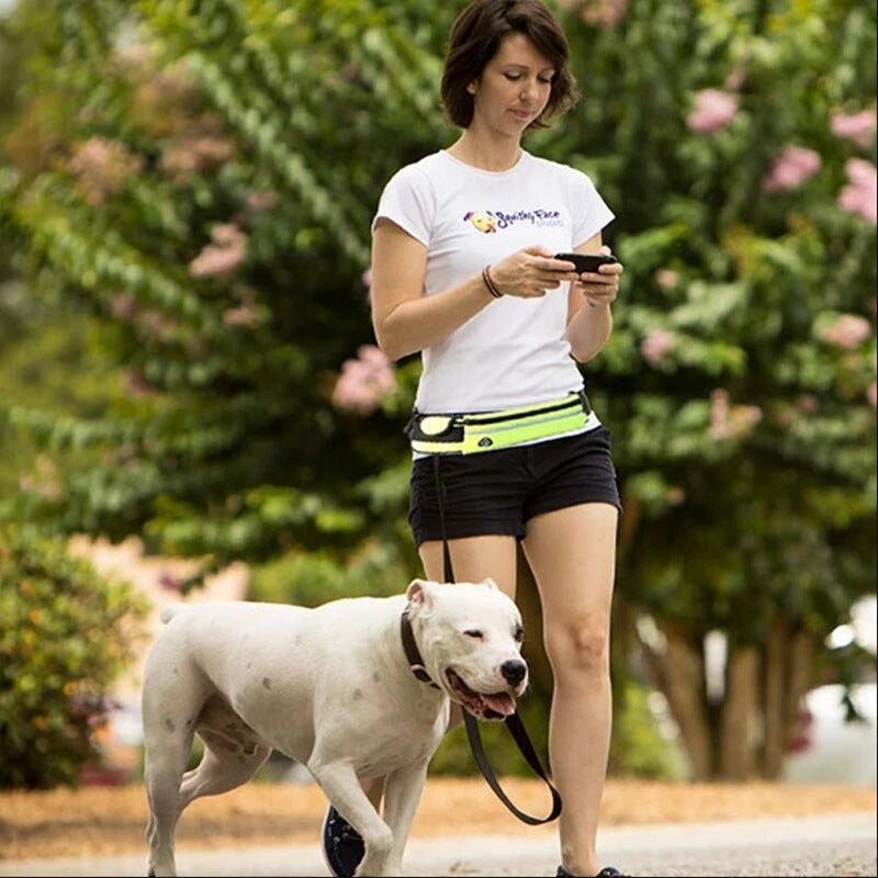 Hands-Free Dog Leash: Walk your dog, hands-free and hassle-free!
