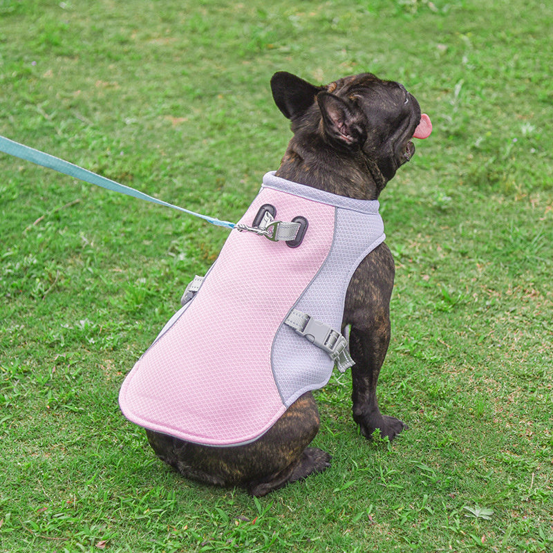 Summer Pet Outdoor Breathable Cooling Vest: Keep your pet cool all summer long!