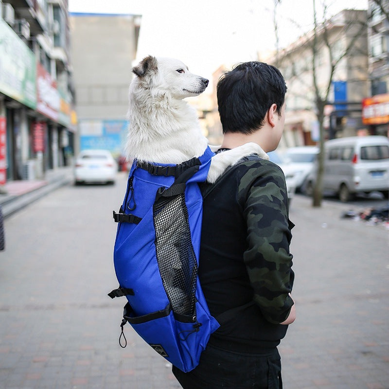 Cozy Dog Travel Backpack for Adventures