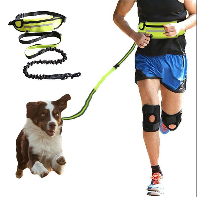 Hands-Free Dog Leash: Walk your dog, hands-free and hassle-free!
