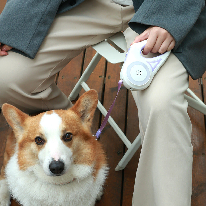 Retractable Dog Leash and Collar Combo: