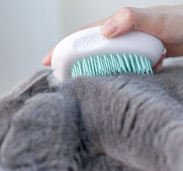 SoftSwipe Cat Brush