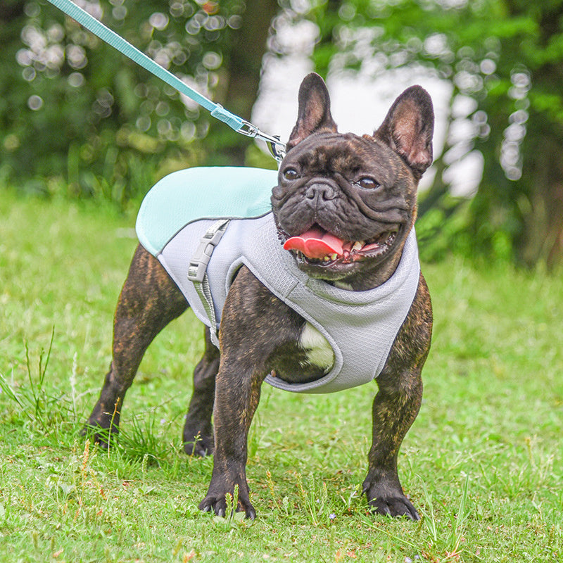 Summer Pet Outdoor Breathable Cooling Vest: Keep your pet cool all summer long!