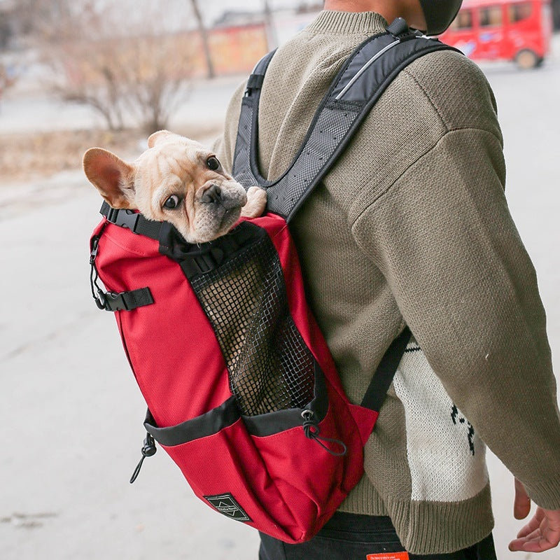Cozy Dog Travel Backpack for Adventures
