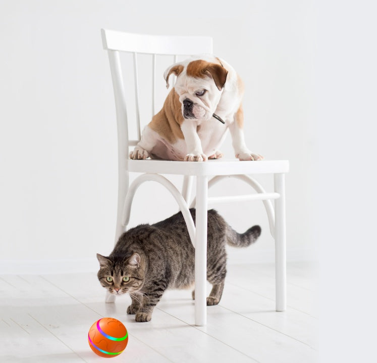Interactive Cat Toy Ball – Self Rotating, USB Charging, Smart Wicked Ball
