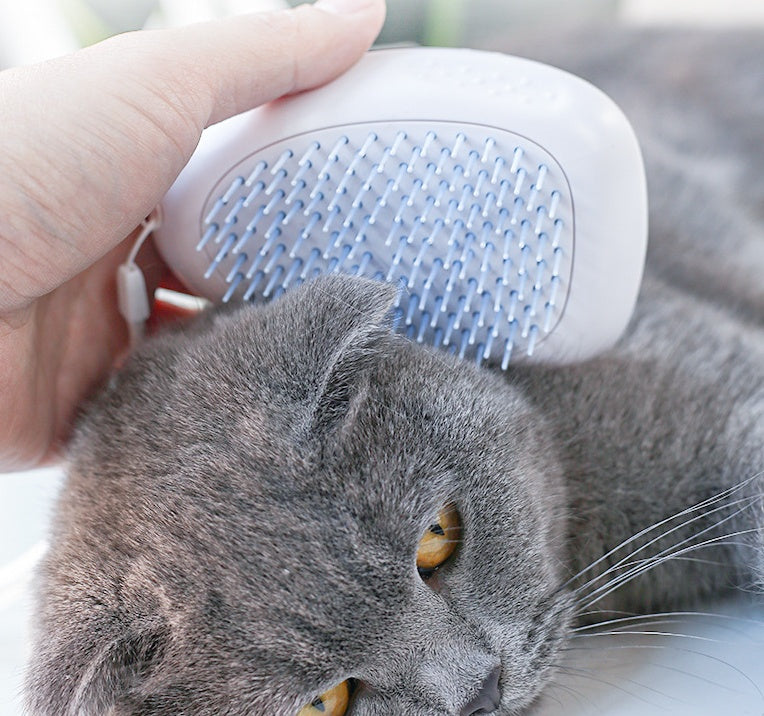 SoftSwipe Cat Brush
