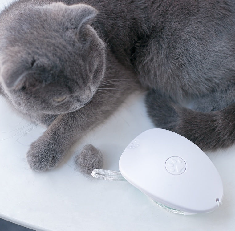 SoftSwipe Cat Brush