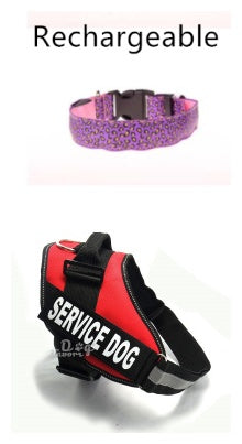 Night Glow Leopard Dog Collar – Adjustable & Cool