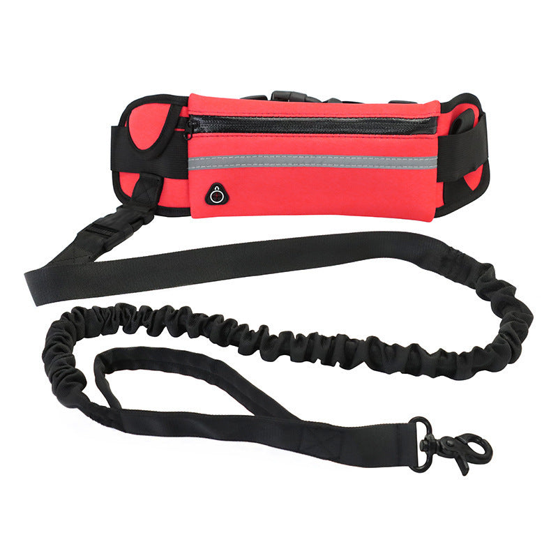 Hands-Free Dog Leash: Walk your dog, hands-free and hassle-free!