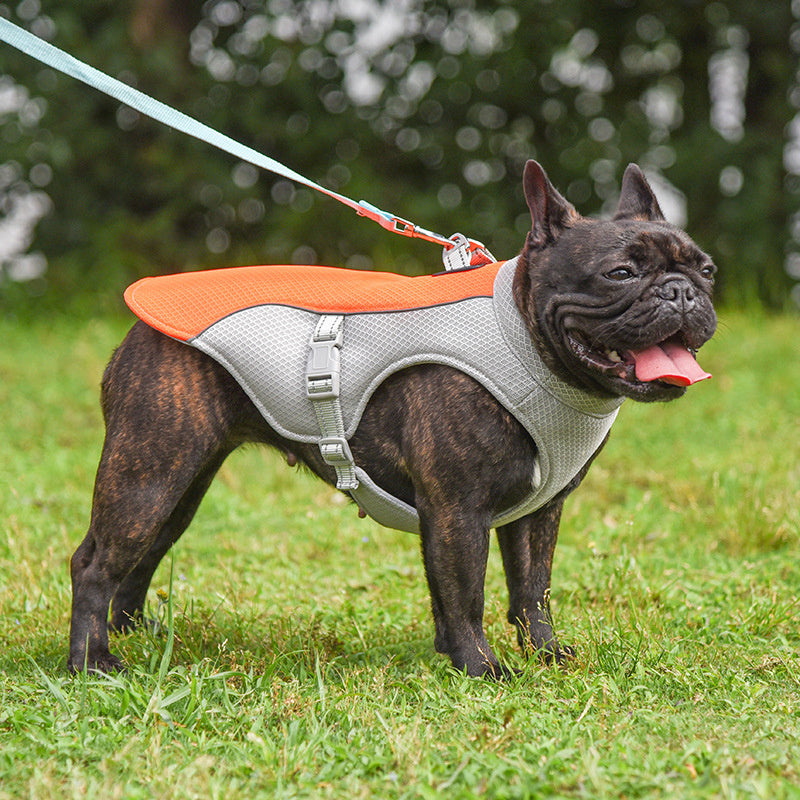 Summer Pet Outdoor Breathable Cooling Vest: Keep your pet cool all summer long!